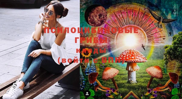 не бодяженный Кодинск