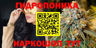 гашик Заводоуковск