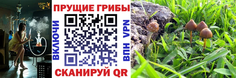 Галлюциногенные грибы ЛСД  купить наркотики цена  Новочебоксарск 