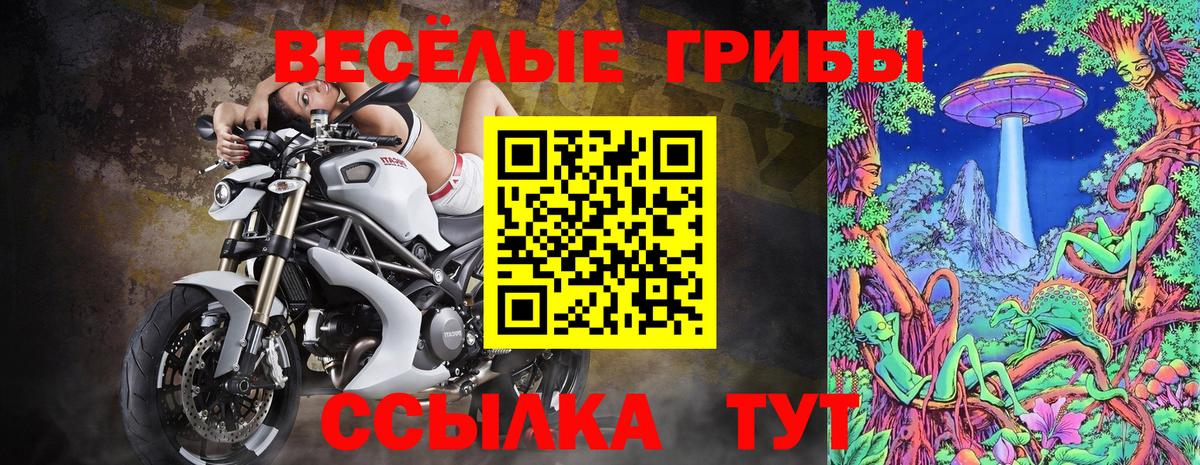 Новочебоксарск  Галлюциногенные грибы Cubensis  Вход с VPN  Псилоцибиновые грибы Psilocybe 