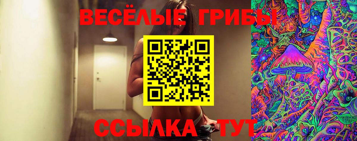 Галлюциногенные грибы Psilocybe Новочебоксарск