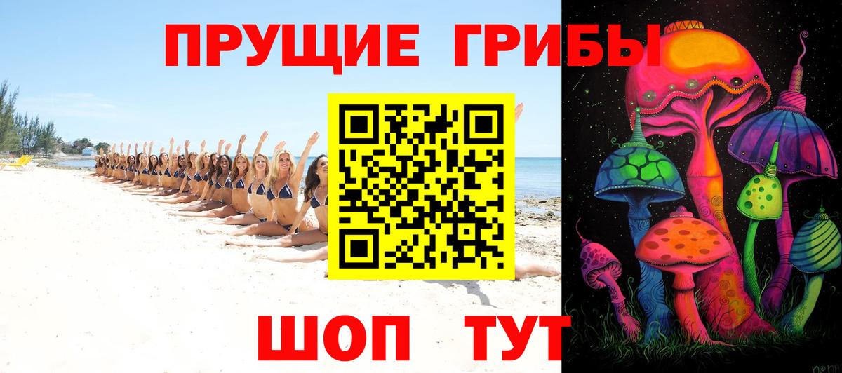 Псилоцибиновые грибы Cubensis  Новочебоксарск 