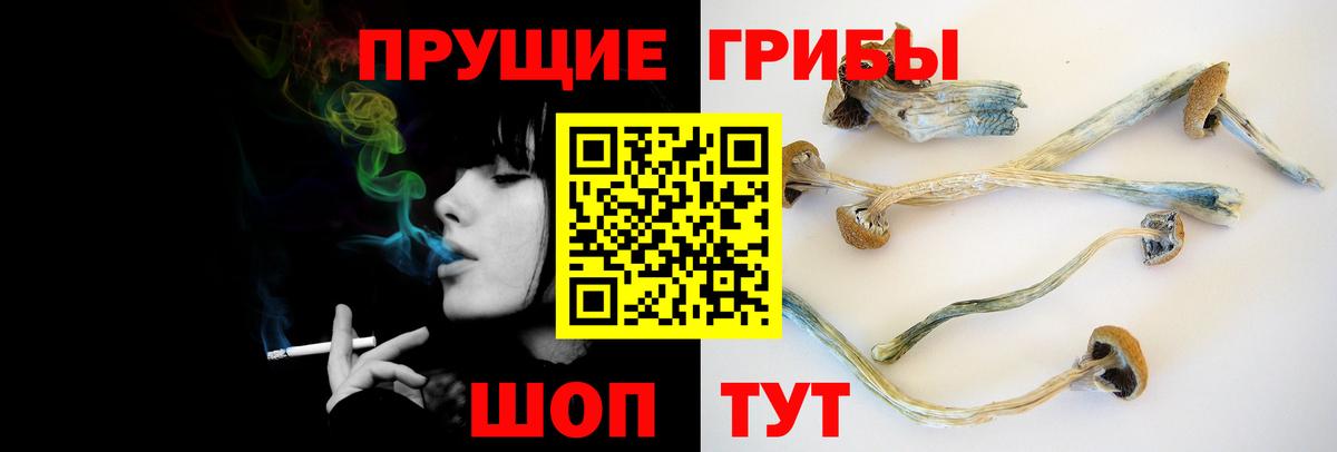 Псилоцибиновые грибы мухоморы Новочебоксарск